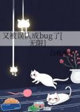 又被误认成bug了[无限]