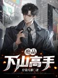 电子书绝品高手