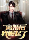离婚后我爆火免费阅读