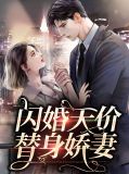 闪婚天价替身娇妻林冉陆霆骁
