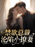 禁欲总裁沦陷小撩妻林素语
