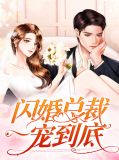 闪婚总裁轻轻宠小说
