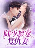 陆少超宠复仇妻陆庭楼