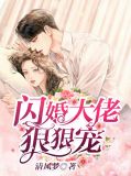 闪婚成瘾;大佬娇妻宠上天