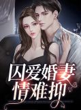 小说,囚爱