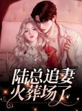 陆总追妻火葬场了林冉陆霆骁