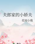 夫郎家的小娇夫