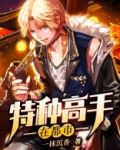 特种高手在都市