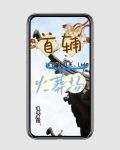 首辅认错白月光，让他火葬场