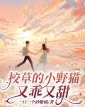 校草的小野猫又乖又甜