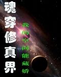 魂穿修真界：我的空间能藏娇