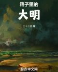 箱子里的大明