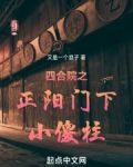 四合院之正阳门下小傻柱