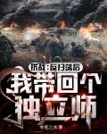 抗战：反扫荡后，我带回个独立师