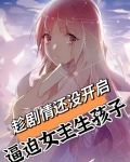 强迫女主生孩子的文