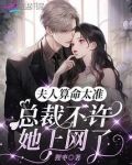 夫人算命太准，总裁不许她上网了