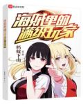 海贼里的满级玩家