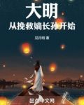 大明从挽救嫡长孙开始
