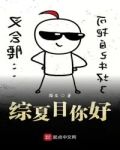 综夏目你好