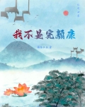 综武之我不是完颜康 锦临公子