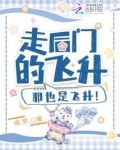 走后门的飞升,那也是飞升！