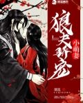 狼夫骄宠小萌妻
