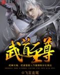武道至尊主角介绍