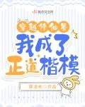 穿越修仙界，我成了正道楷模