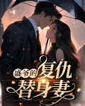 盛先生的复仇冷妻 小说