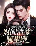 神秘萌宝是大佬，财阀渣爹哪里跑