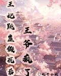 王妃跳崖假死后，王爷疯了