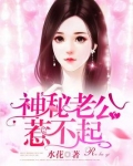神秘老公惹不起在线阅读全文