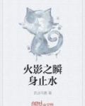 火影之瞬身止水