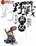 三国之野战无双