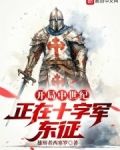 开局中世纪，正在十字军东征