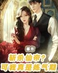 都市：斩杀仙帝？可我真是炼气期