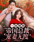 一夜锁情：帝国总裁宠妻无度