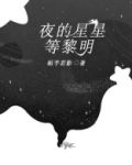 夜的星星等黎明