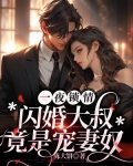一夜锁情:闪婚大叔竟是宠妻奴 陈大饼