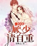 一婚成瘾：顾少请自重