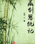 藏剑恩仇记