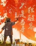 不是当年独醒客
