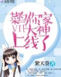 菜鸟你家VIP大神上线了