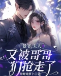 景爷,夫人又被哥哥们抢走了小说
