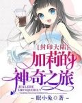 封印大陆，加莉的神奇之旅
