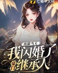闪婚嫁给陌生人