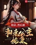 相亲，然后被和亲公主抢亲