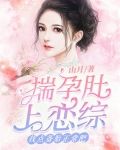 揣孕肚上恋综，找点备胎正常吧