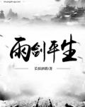 雨剑平生