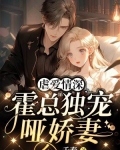 隐婚虐爱霍